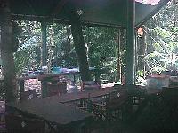 Rainforest dining tent